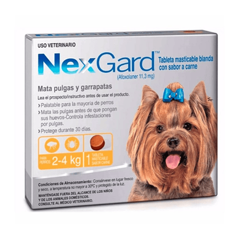 NexGard S Perro Chico 2-4 kg 1 masticable