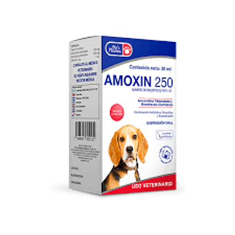 Amoxin 30 ml