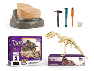 Fosil Arqueologico Dinosaurio 1 unidad