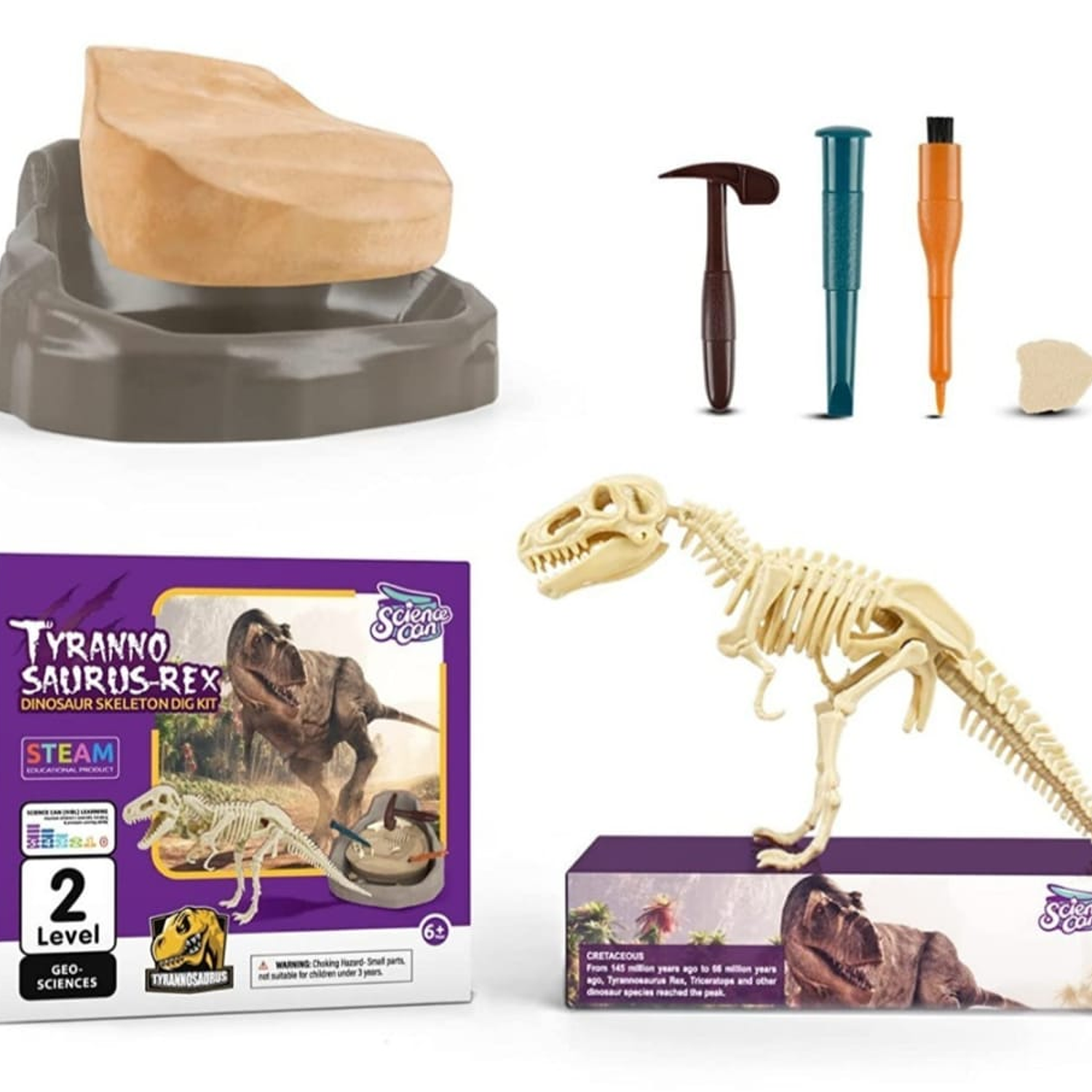 Fosil Arqueologico Dinosaurio 1 unidad 2