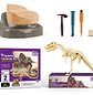 Fosil Arqueologico Dinosaurio 1 unidad - Miniatura 2