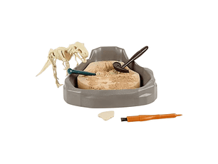 Fosil Arqueologico Dinosaurio 1 unidad