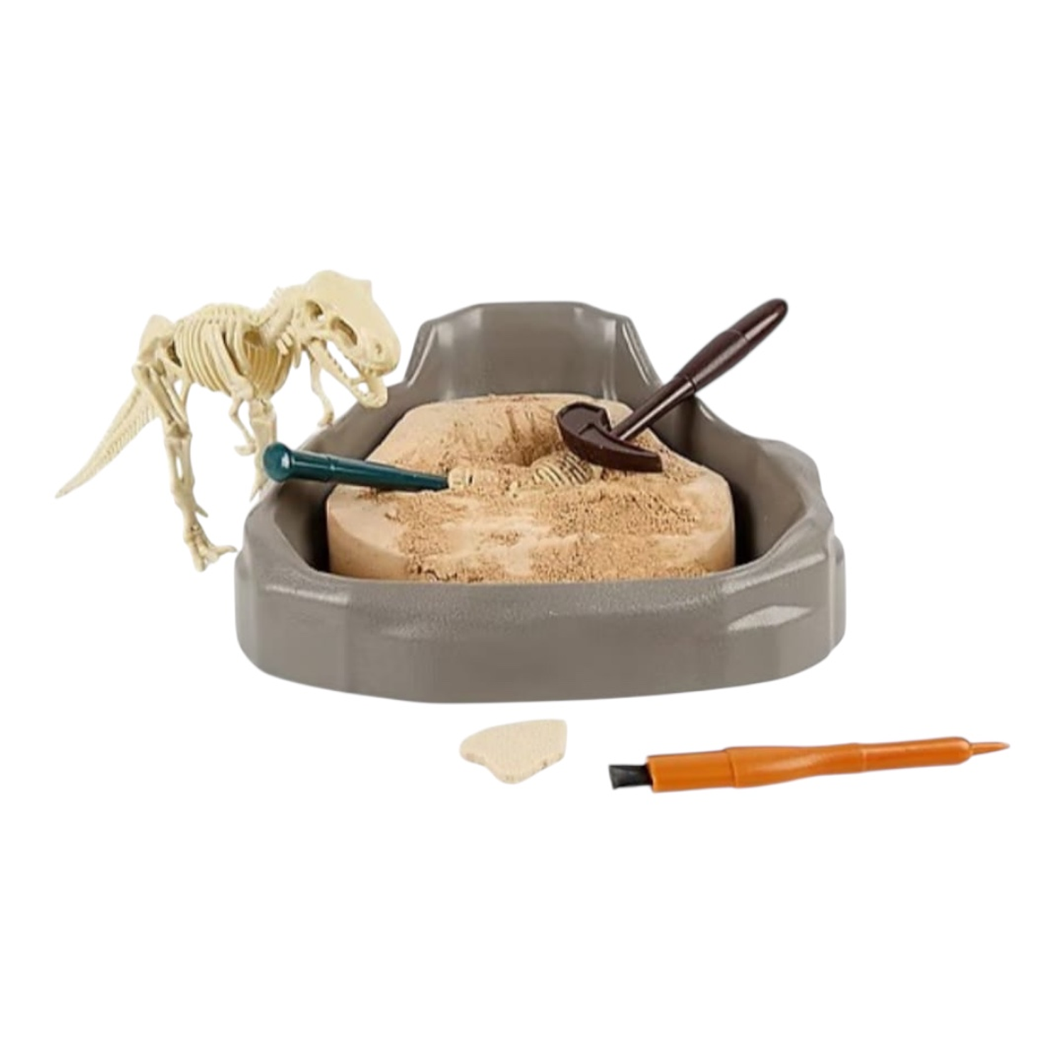 Fosil Arqueologico Dinosaurio 1 unidad 1