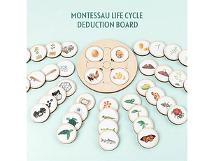 Puzzle Circular Ciclo De Vida