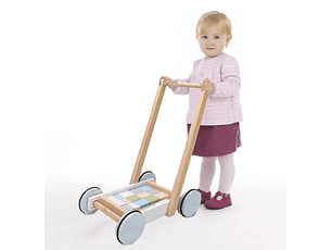 Carro Caminador Economico