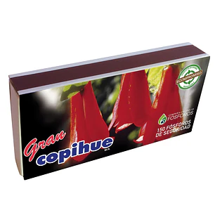 Fósforos Gran Copihue ( 10 UD )