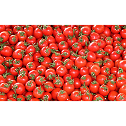 Tomate Cherry MEDIO KILO