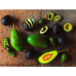 3 KG PALTA HASS primera