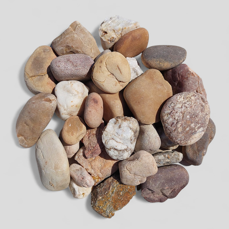 Seixo do Rio | Tejo 4