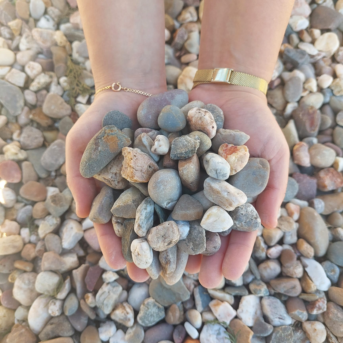 Seixo do Rio | Tejo 2