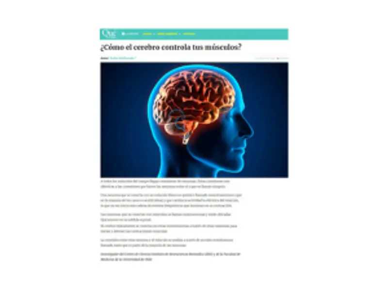 Revista Qué Pasa : ¿cómo el cerebro controla tus músculos?
