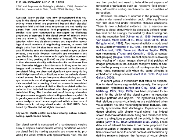 NEURONAL ACTIVITY IN THE PRIMARY VISUAL CORTEX OF THE CAT FREELY VIEWING NATURAL IMAGES