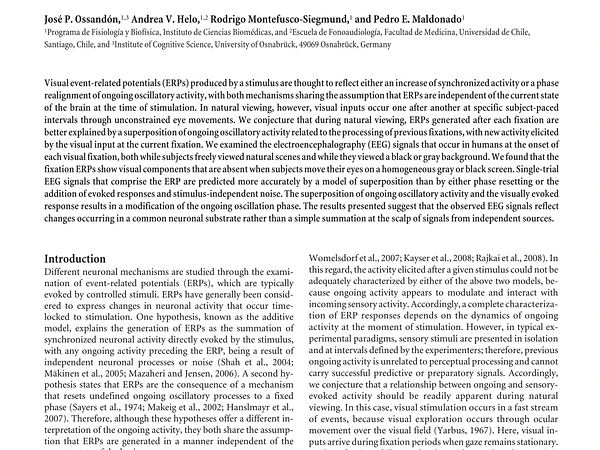 Superposition Model Predicts EEG Occipital Activity during Free Viewing of Natural Scenes