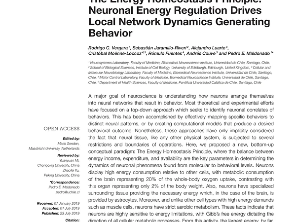 The Energy Homeostasis Principle: Neuronal Energy Regulation Drives Local Network Dynamics Generating Behavior