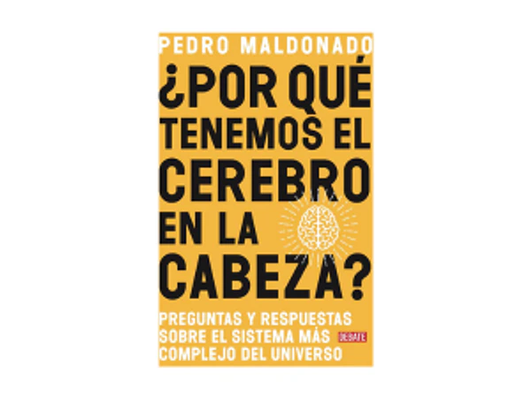 ¿Por qué tenemos el cerebro en la cabeza? 