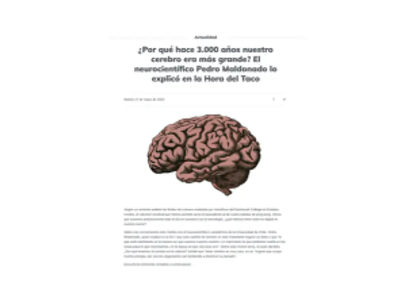 ¿Por qué hace 3.000 años nuestro cerebro era más grande?