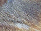 Fotografía en papel Mate Satinado RC - Miniatura 2