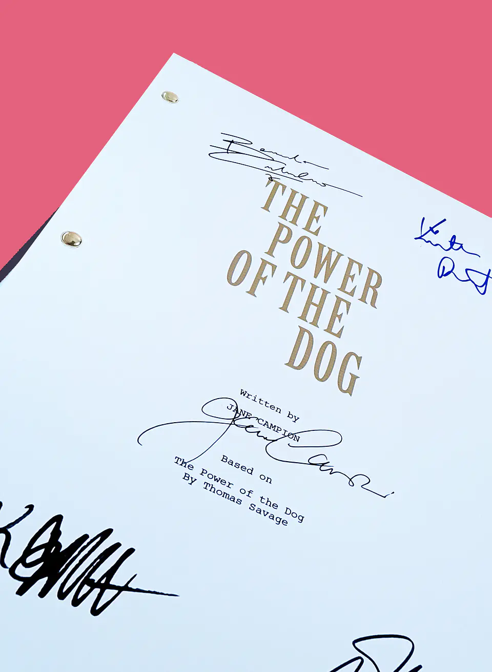The Power of the Dog 3