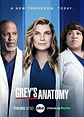 Grey´s Anatomy - Miniatura 4