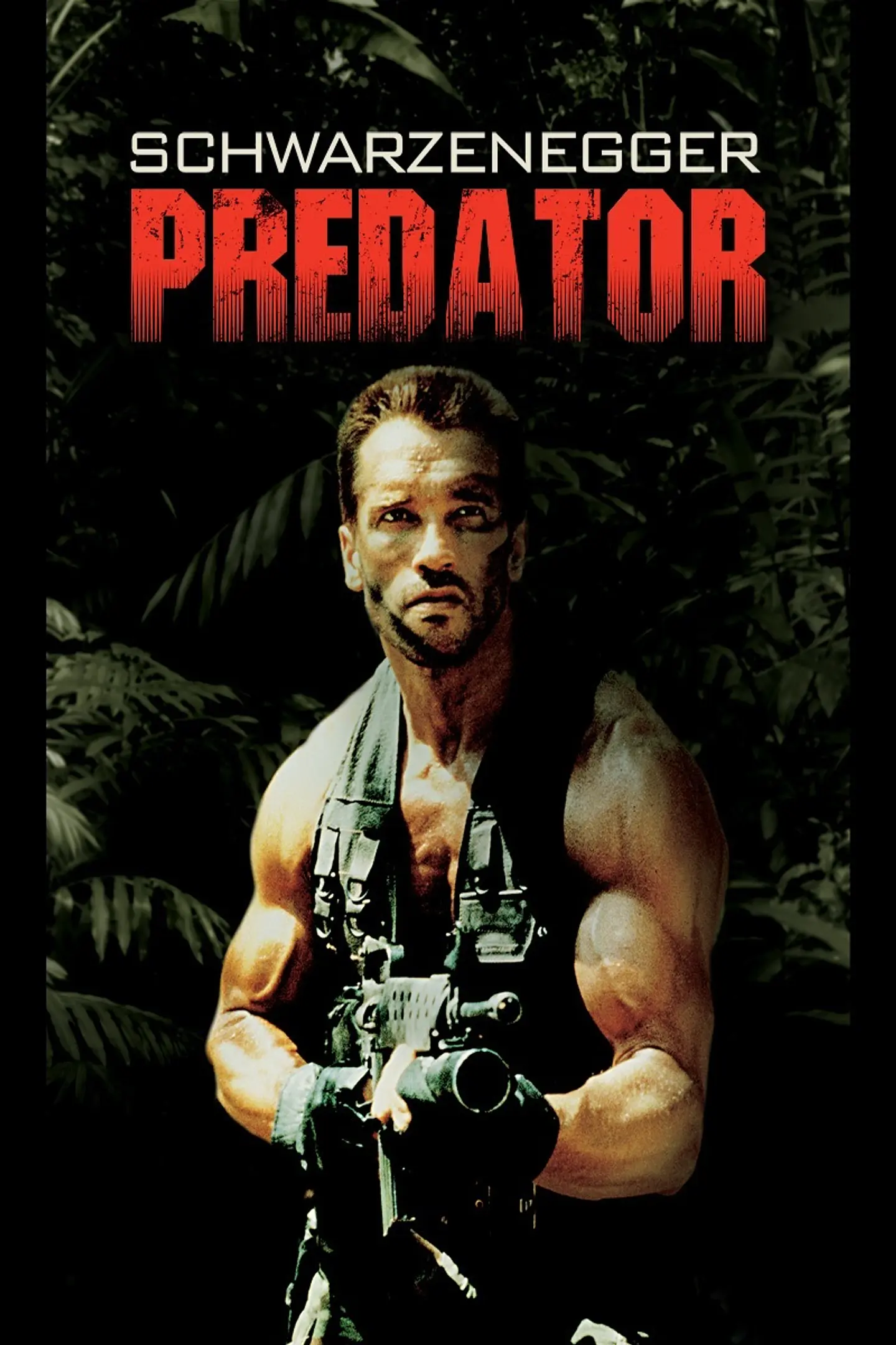 schwarzenegger predator   4