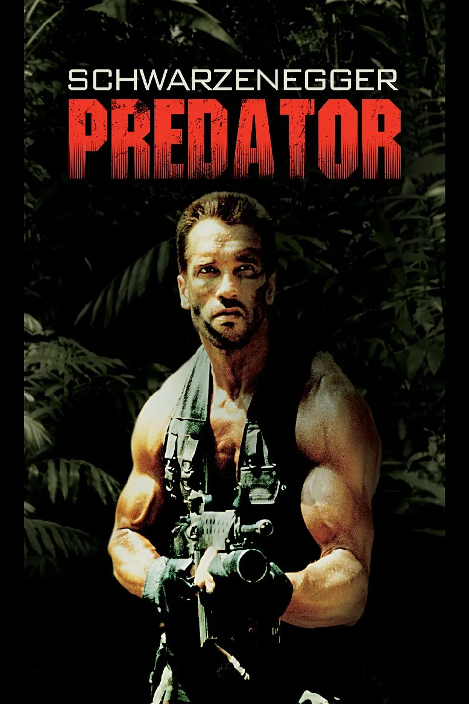 schwarzenegger predator   4