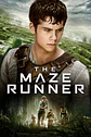 Maze Runner - Miniatura 4
