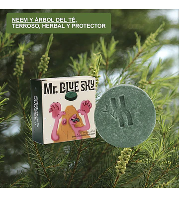 Shampoo en Barra - Anticaspa - Mr Blue Sky.