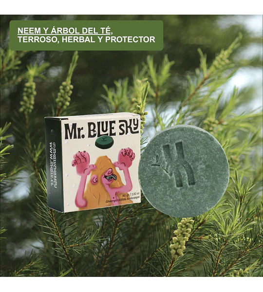 Shampoo en Barra - Anticaspa - Mr Blue Sky.