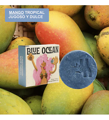 Shampoo en Barra - Anti-frizz & Lisos - Blue Ocean