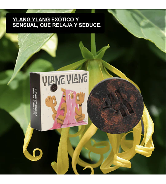 Shampoo en Barra - Secos y Maltratados - Ylang Ylang.