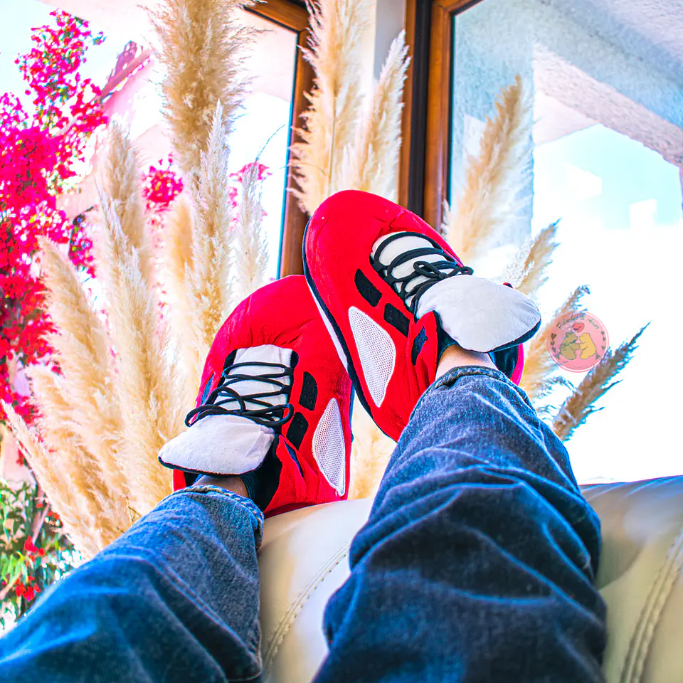 Pantufla 5 Retro RB 1