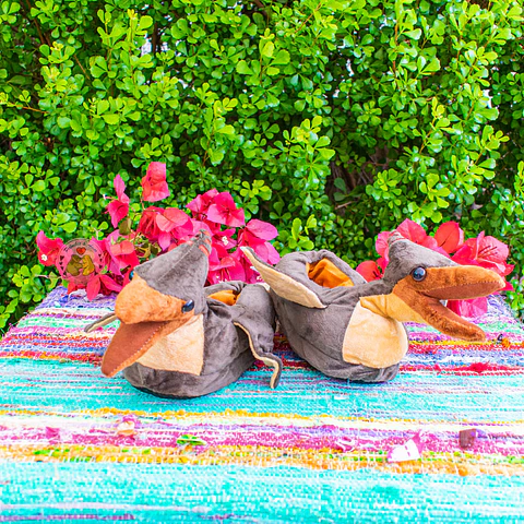 Pantufla Pterodactilo