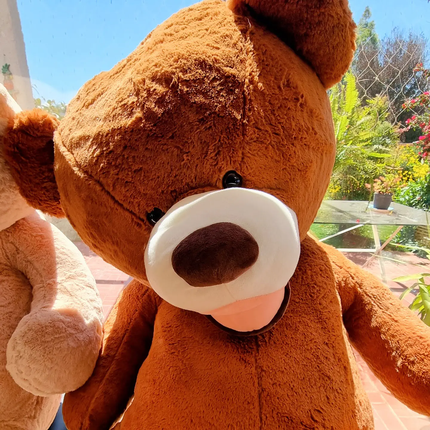 OSO Gigante Amer 200 CM 13