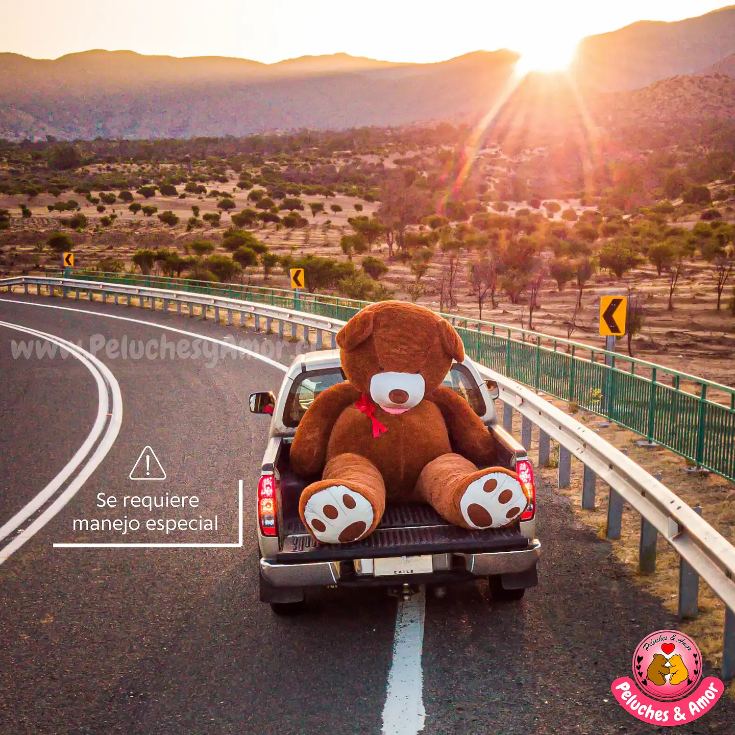 OSO Mega Gigante 340 CM 4