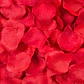 100 Pétalos de Rosas Artificiales Decorativas Rojo - Miniatura 1