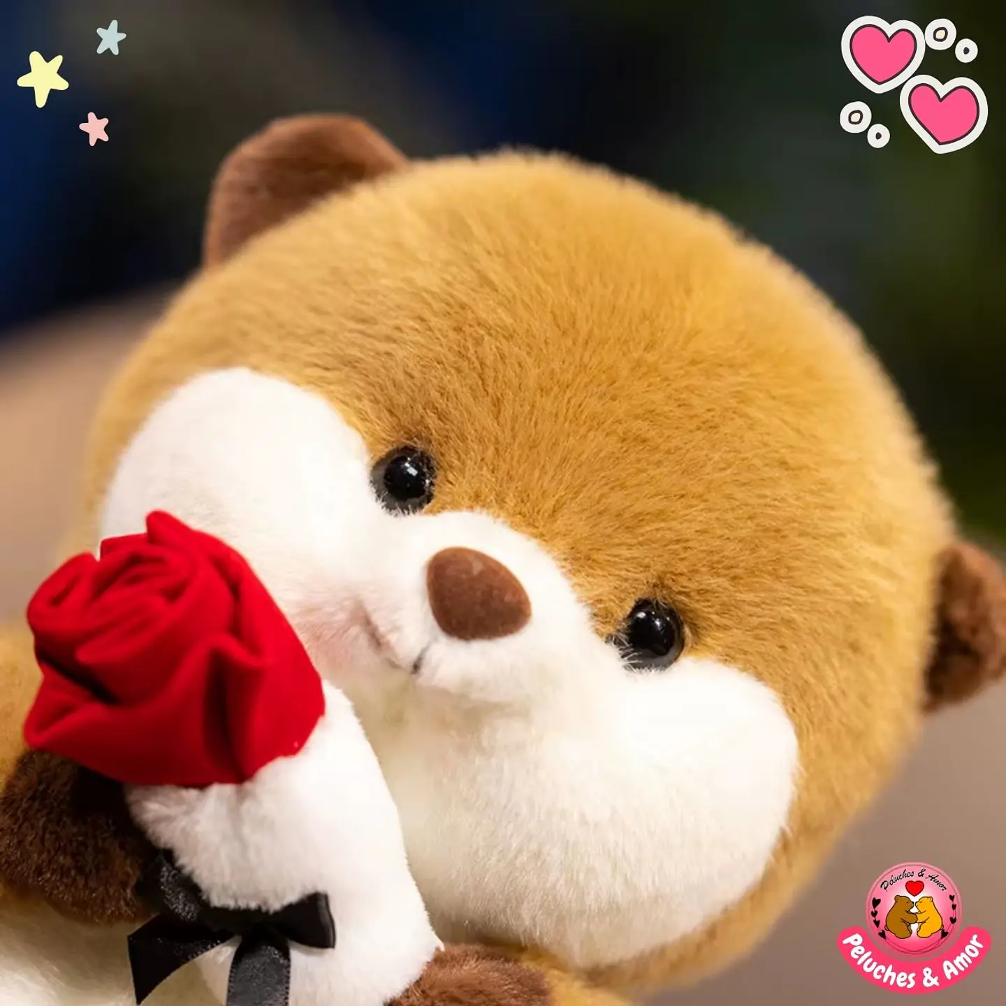 Peluche Nutria con Rosita 25 CM 2
