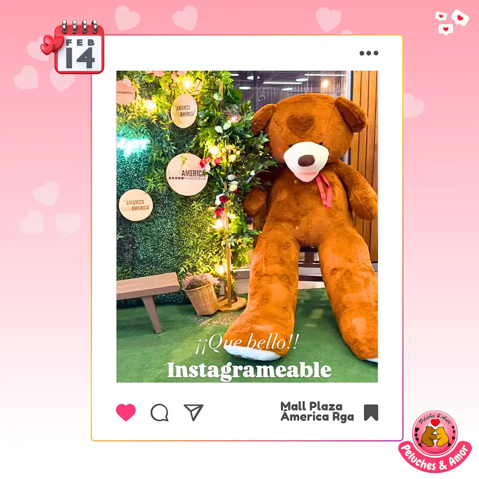 OSO Mega Gigante 340 CM 5