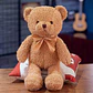 Peluche de Osito 30 CM Café Claro - Miniatura 1