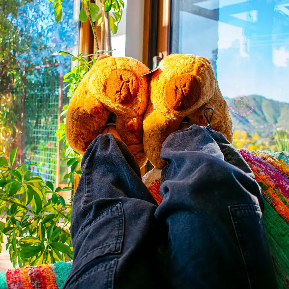 Pantuflas Peluche Capibara Café – Regalo Suave y Tierno 3