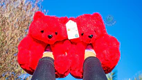 Pantuflas con Diseño