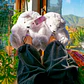 Pantuflas Peluche Osito Blanco – Regalo Suave y Tierno - Miniatura 2