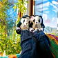 Pantuflas Peluche Osito Panda – Regalo Suave y Tierno - Miniatura 2