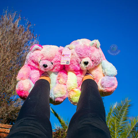 Pantuflas Peluche Osito Pastel Multicolor – Regalo Suave y Tierno