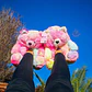 Pantuflas Peluche Osito Pastel Multicolor – Regalo Suave y Tierno - Miniatura 1