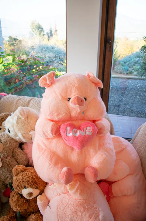 Peluche de Cerdito Love