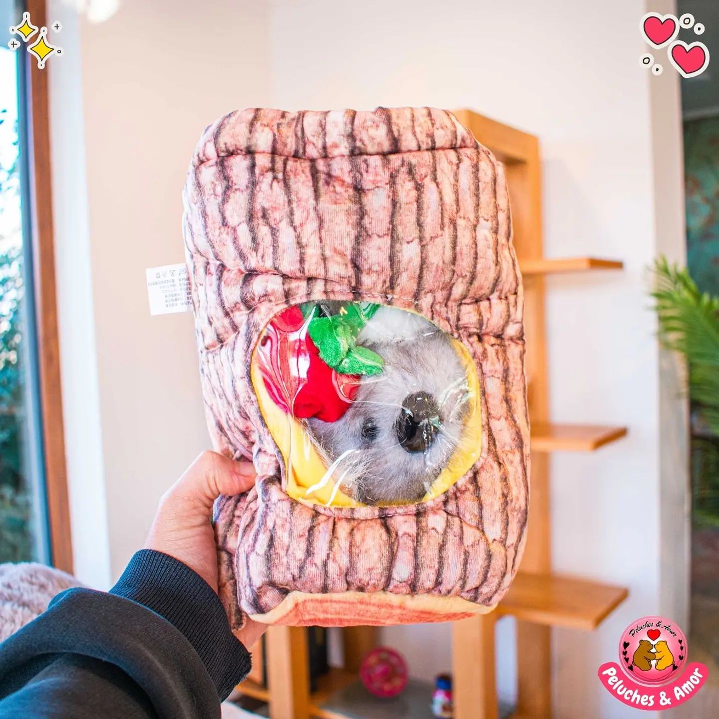 Peluche de Koala + casita 28 CM 2
