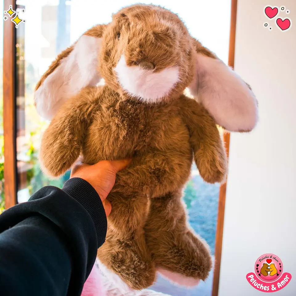 Peluche de Conejito Orejón 43 CM 2