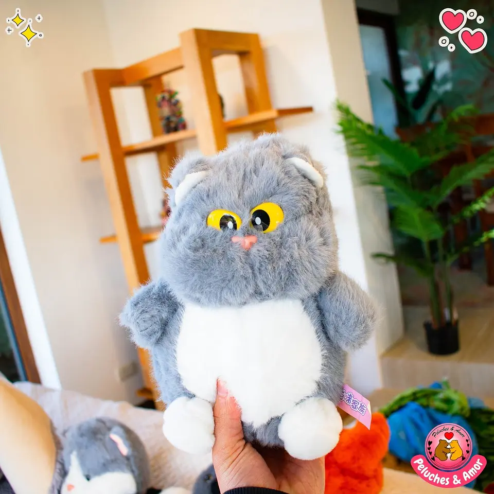 Peluche de Gatito Panzón 23 CM 2