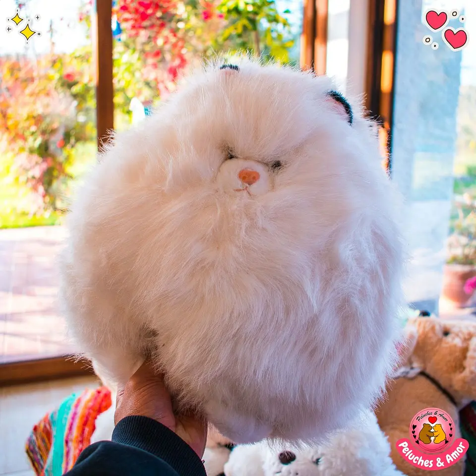 Peluche de Gatito Michi 30 CM  1