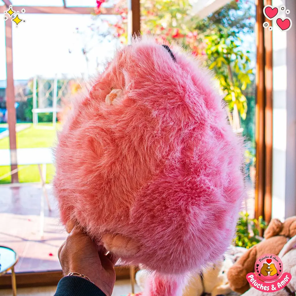 Peluche de Gatito Michi 30 CM  4